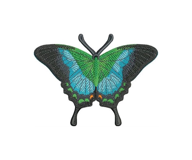 Fluture brodat Malabar Banded Peacock