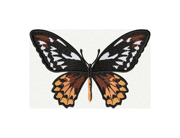 Fluture ornamental brodat 27