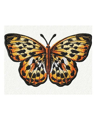 Fluture ornamental brodat 25