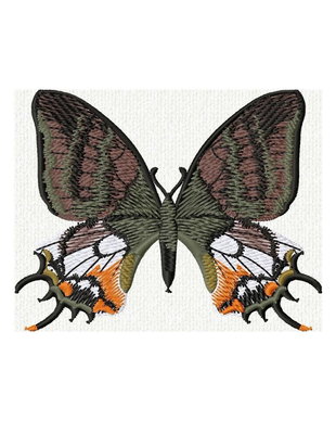 Fluture ornamental brodat