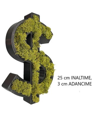 Litera din licheni naturali si stabilizati