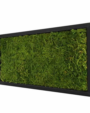 Tablou din licheni naturali si stabilizati
