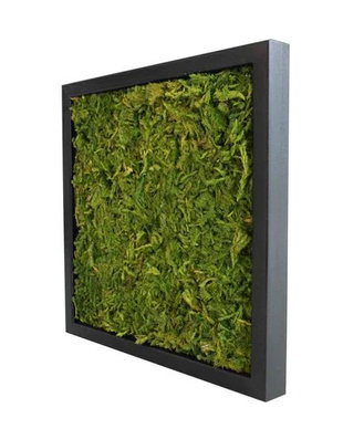 Tablou din licheni naturali si stabilizati