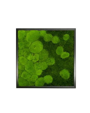 Tablou din licheni naturali si stabilizati