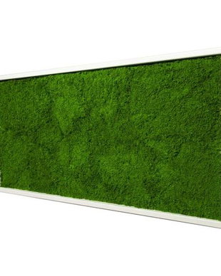Tablou din licheni naturali si stabilizati