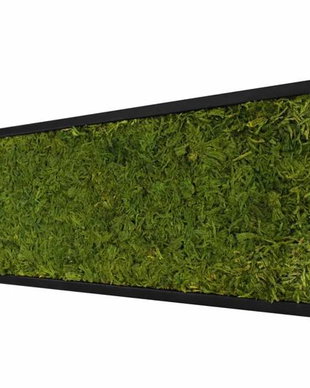 Tablou din licheni naturali si stabilizati