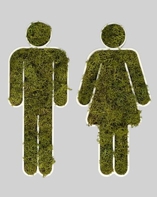 Licheni naturali si stabilizati