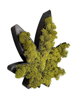 Decoratiuni din licheni naturali si stabilizati