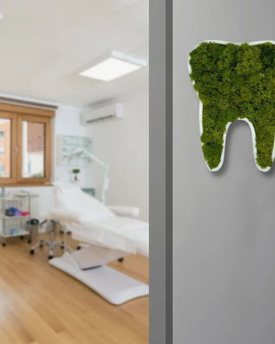 Decoratiuni din licheni naturali si stabilizati