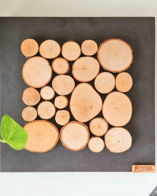 Tablou din licheni naturali si stabilizati