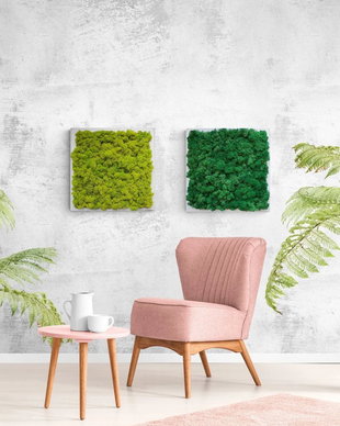 Set 2B Tablou din licheni naturali si stabilizati