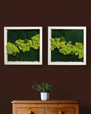Set 2B Tablou din licheni naturali si stabilizati