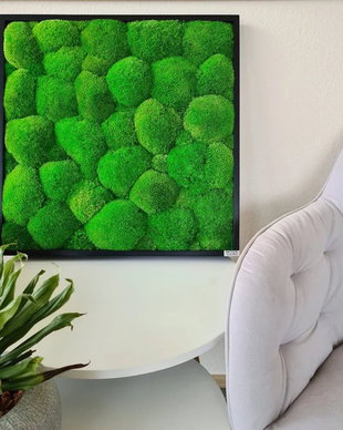 Tablou din licheni naturali si stabilizati