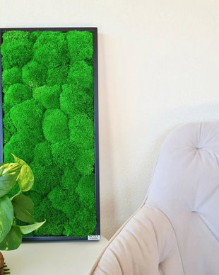Tablou din licheni naturali si stabilizati