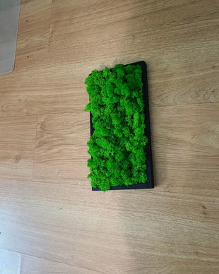 Tablou din licheni naturali si stabilizati