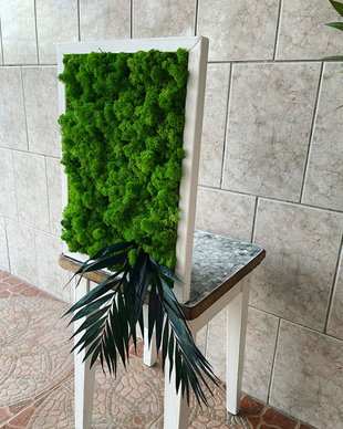 Tablou din licheni naturali si stabilizati