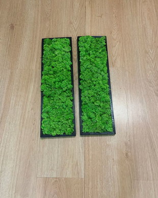 Set 2B Tablou din licheni naturali si stabilizati