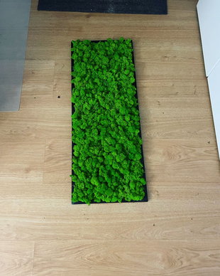 Tablou din licheni naturali si stabilizati