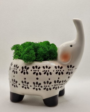 Elefant cu licheni