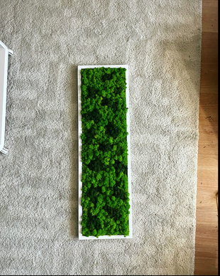 Tablou din licheni naturali si stabilizati