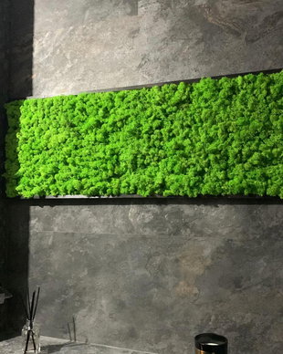 Tablou din licheni naturali si stabilizati