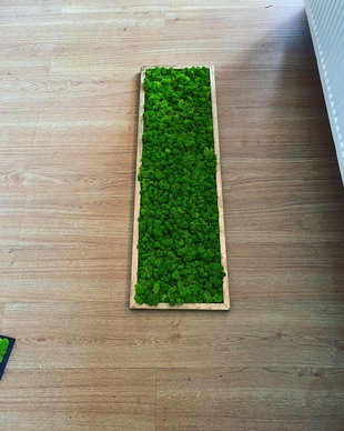 Tablou din licheni naturali si stabilizati
