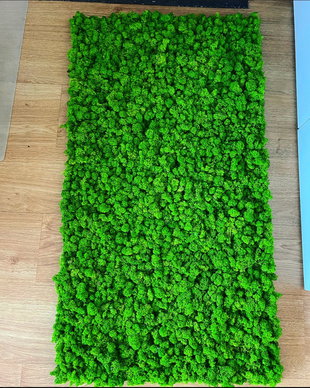 Tablou din licheni naturali si stabilizati