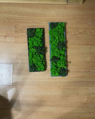 Tablou din licheni naturali si stabilizati