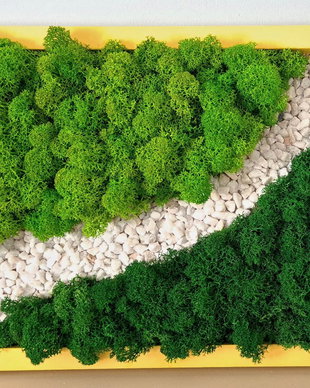 Tablou din licheni naturali si stabilizati