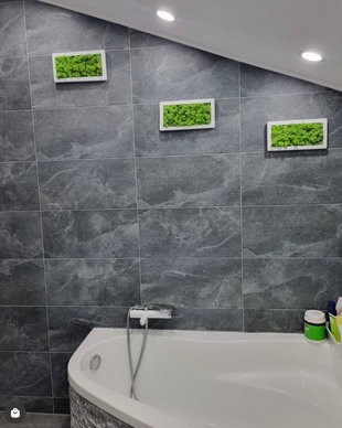 Tablou din licheni naturali si stabilizati