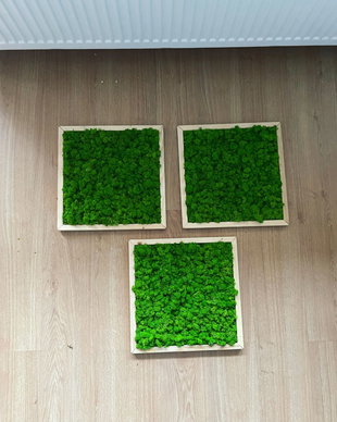 Set 3B Tablou din licheni naturali si stabilizati