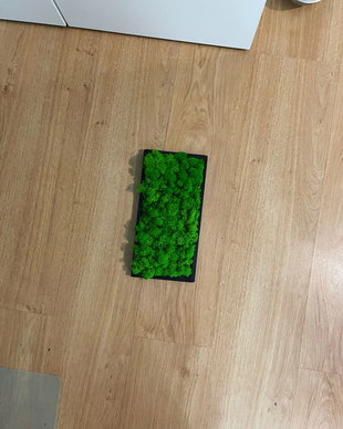 Tablou din licheni naturali si stabilizati