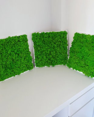 Set 3B Tablou din licheni naturali si stabilizati