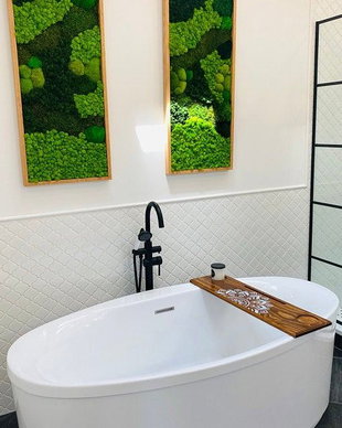 Set 2B Tablou din licheni naturali si stabilizati