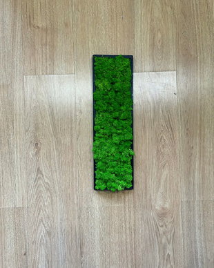 Tablou din licheni naturali si stabilizati