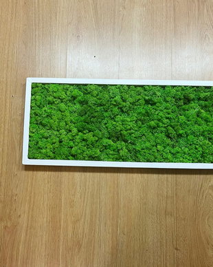 Tablou din licheni naturali si stabilizati