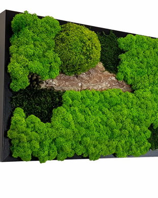 Tablou din licheni naturali si stabilizati