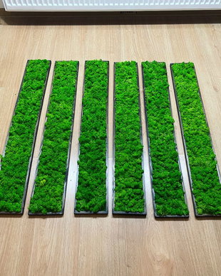 Set 6B Tablou din licheni naturali si stabilizati