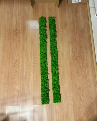 Set 2B Tablou din licheni naturali si stabilizati