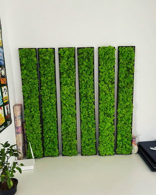 Tablou din licheni naturali si stabilizati