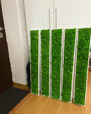 Set 6B Tablou din licheni naturali si stabilizati