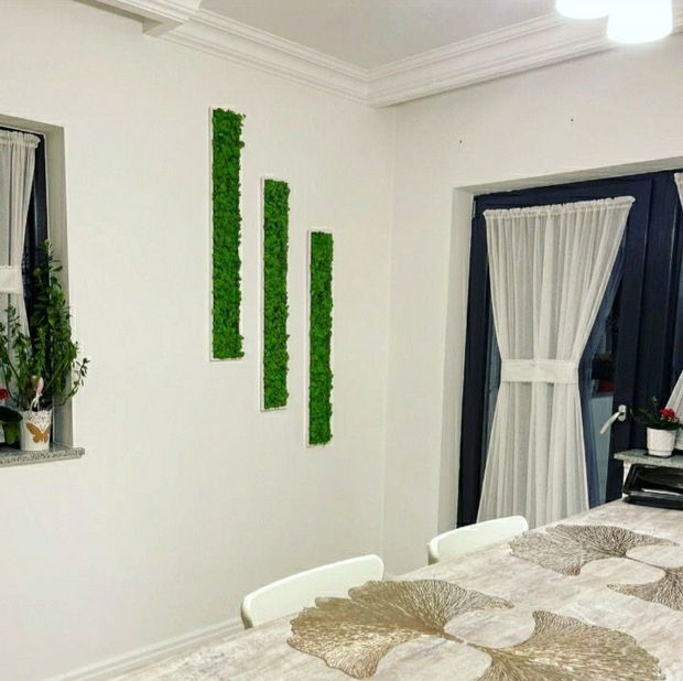 Set 3B Tablou din licheni naturali si stabilizati