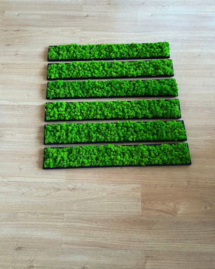 Tablou din licheni naturali si stabilizati