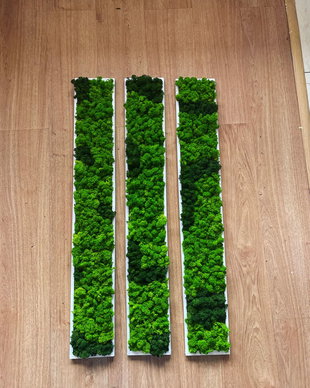 Set 3B Tablou din licheni naturali si stabilizati