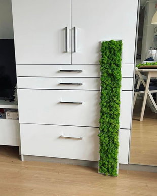 Tablou din licheni naturali si stabilizati