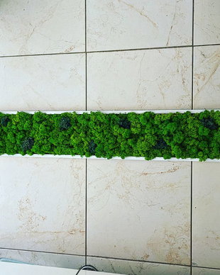 Tablou din licheni naturali si stabilizati