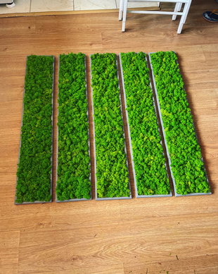 Set 5B Tablou din licheni naturali si stabilizati