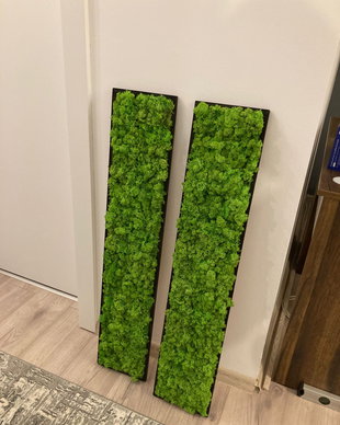 Set 2B Tablou din licheni naturali si stabilizati