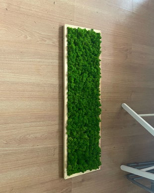 Tablou din licheni naturali si stabilizati