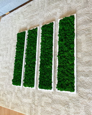Set 4B Tablou din licheni naturali si stabilizati